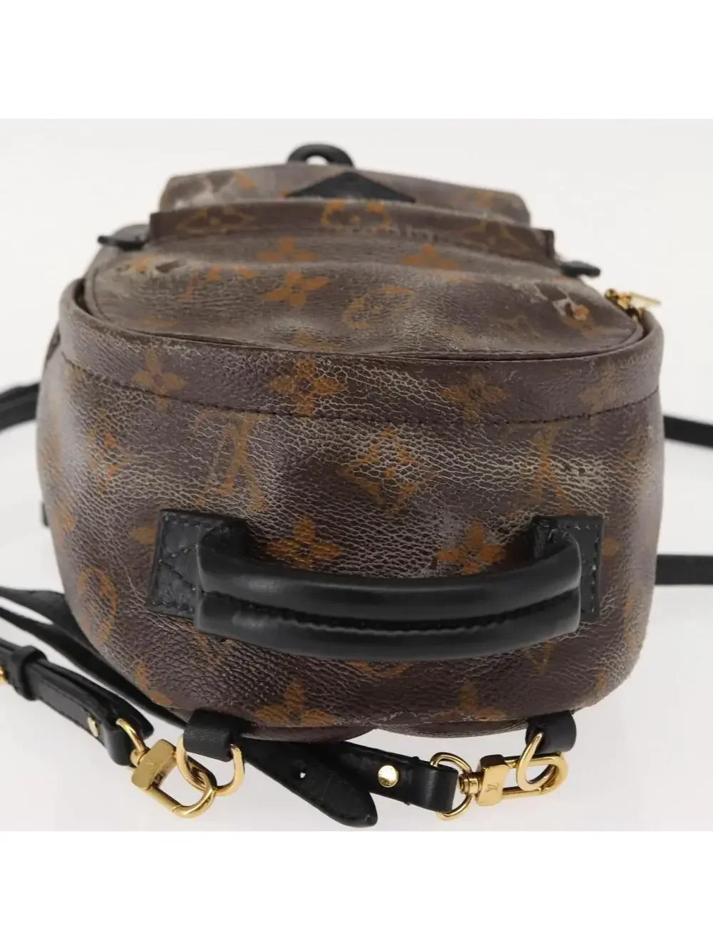 Louis Vuitton Palm Springs Mini #344439L69B